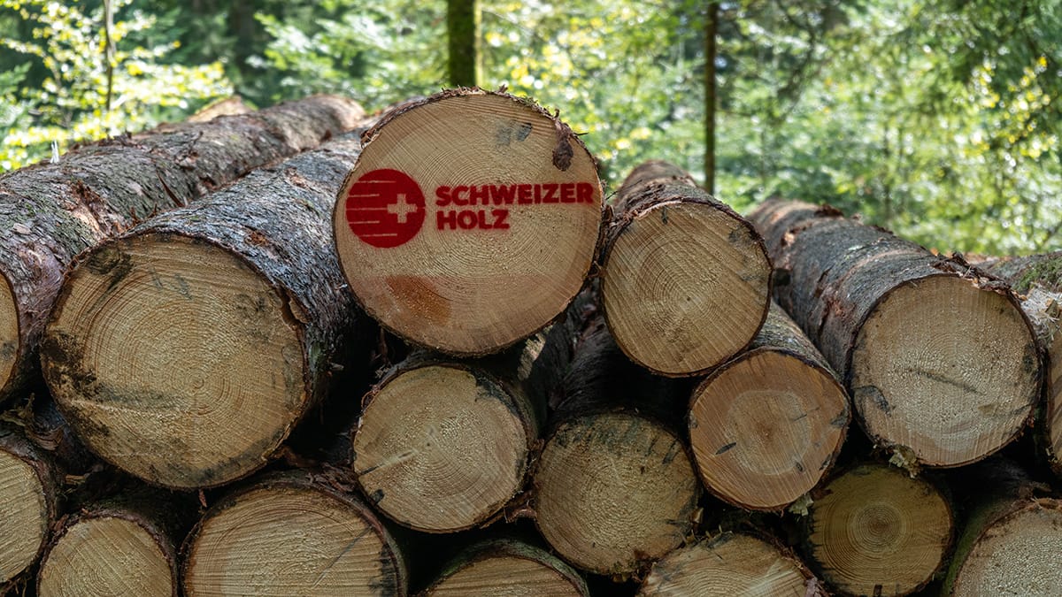 2025.09_TSH-Visual-1-low Die Tage des Schweizer Holzes im Kanton Bern wurden sehr gut besucht.